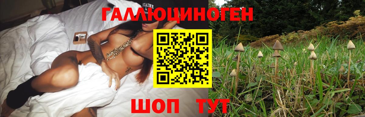 Псилоцибиновые грибы Cubensis Кировск